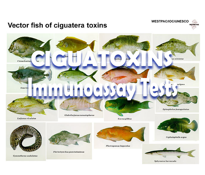 CIGUATOXINS Immunoassay Test