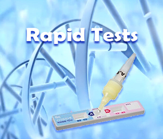 Rapid Tests